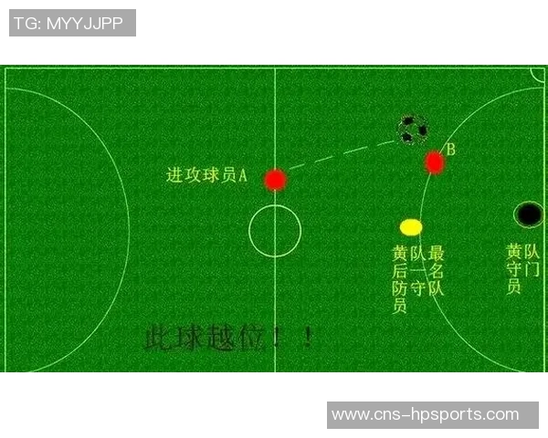 全面解析足球场上各个位置的职责与特点助你更好理解这项运动